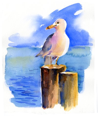 Seagull on dock, 2014, (akvarell) av John Keeling
