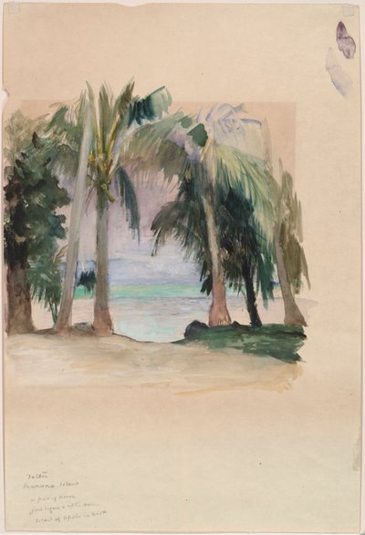 Palmer vid havet av John La Farge