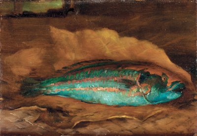 Studie av papegojfisken, Samoa, 1890 av John La Farge or Lafarge