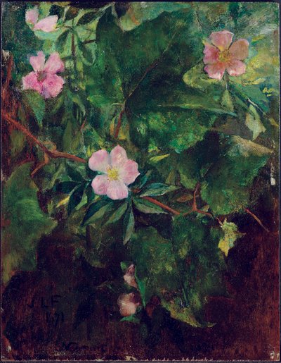 Wild Rose and Grape Vine, Study From Nature, 1871 av John La Farge or Lafarge