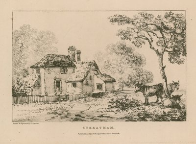 Allmän vy över Streatham av John Laporte