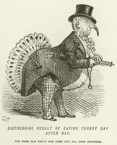 Obehagligt resultat av att äta Turkiet dag efter dag av John Leech