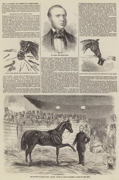 Mr J S Rarey, den amerikanske hästdomptören av John Leech