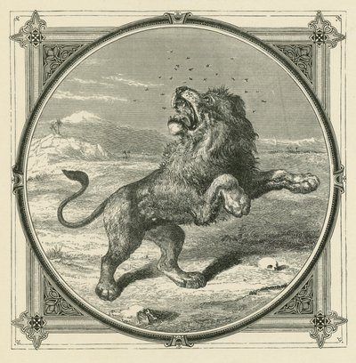 Muggan sticker lejonets ögon (gravyr) av John Leighton