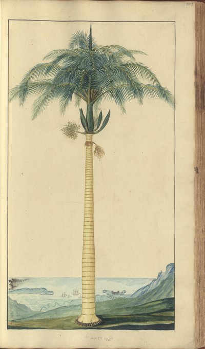 En sida från "Elegancies of Jamaica", 397 av John Lindsay