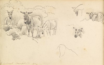 Åsnor, 1824 av John Linnell