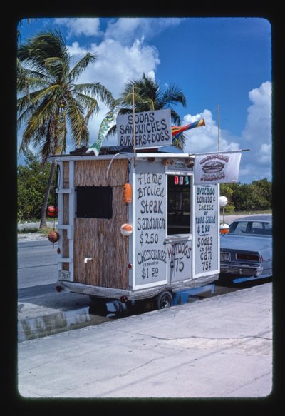 Bil med strandmat, Key West, Florida, USA av John Margolies