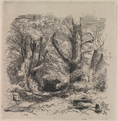 En väg genom skogen av John Middleton