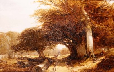 Skogslandskap av John Middleton