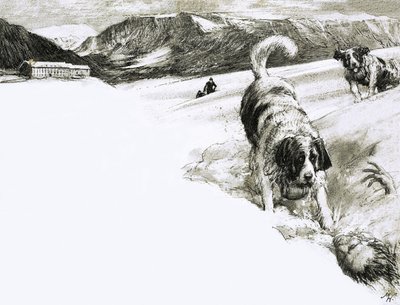 Så det är därför... Dessa bergshundar kallas för Sankt Bernhardshundar av John Millar Watt
