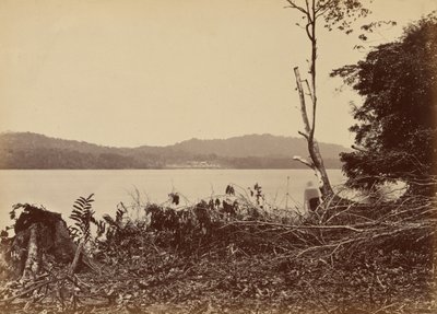 Dariens hamn, Chipigana,1871 (foto) av John Moran