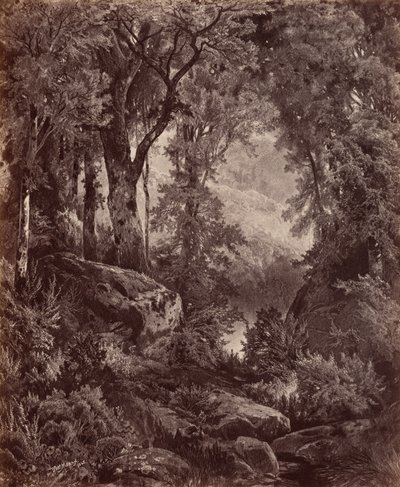 Solitude,1865 (foto) av John Moran
