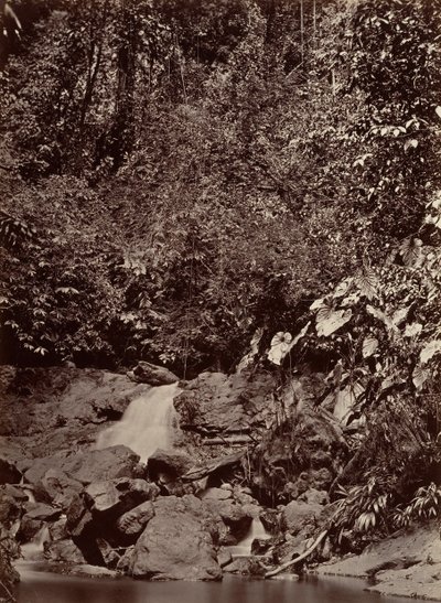 Tropiskt landskap, Cascade, Limon River, 1871. av John Moran