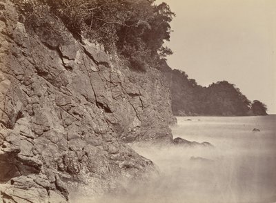 Tropiskt landskap, Cliff - Limon Bay, 1871. av John Moran