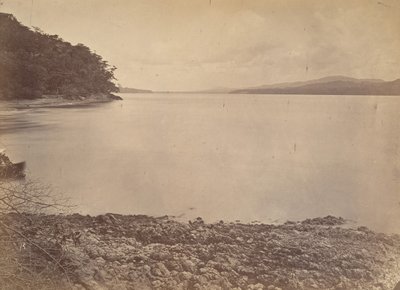 Tropiskt landskap, Darien Harbour - Ser söderut, 1871. av John Moran