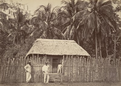 Tropiskt landskap, Native Hut, Turbo, 1871. av John Moran