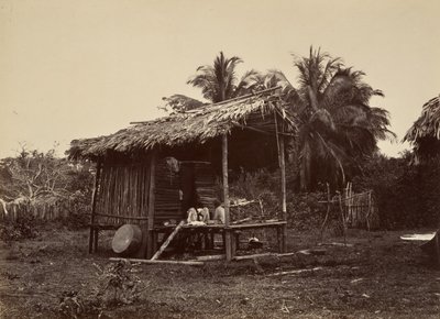 Tropiskt landskap, Native Hut, Turbo, 1871. av John Moran