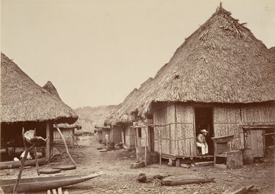 Tropiskt landskap, Street, Chipigana, 1871. av John Moran