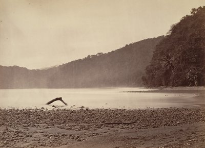 Tropiskt landskap, ändan av den föreslagna kanalen, Limon Bay, 1871. av John Moran