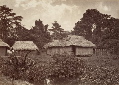 Tropiskt landskap, Turbo Village, 1871. av John Moran