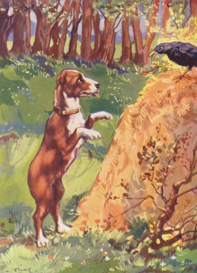 Illustration till Beautiful Joe av Marshall Saunders (färglitografi) av John Nicholson