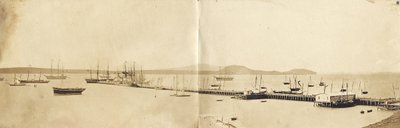 Auckland Harbour, 1865 (albuminformat) av John Nicol Crombie