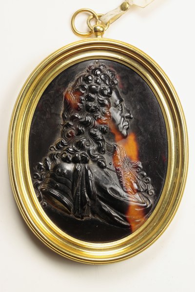 William III (sköldpadda) av John Obrisset
