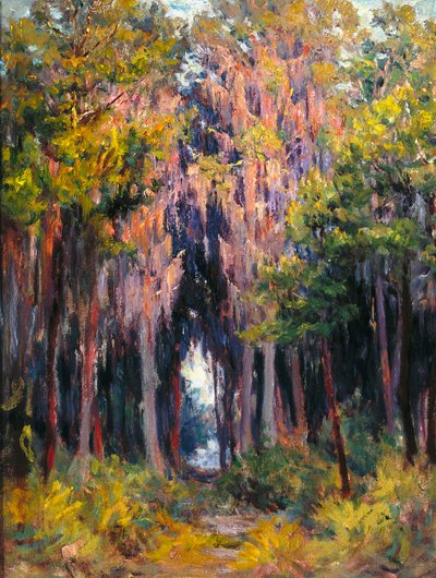 Hanging Moss, St. Petersburg (olja på duk) av John Otis Adams