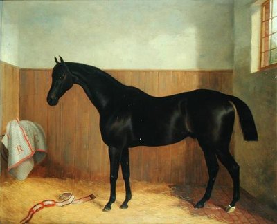 Tommy, Portrait of a Horse, ca 1870-talet (olja på duk) av John Paul