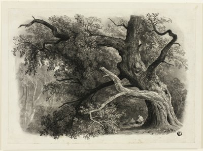 Gammalt träd i Billah - Sherwoodskogen av John Rawson Walker
