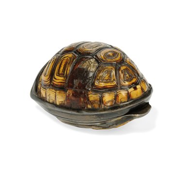 George III terrapin snusdosa, 1817 av John Reily
