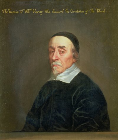 Porträtt av William Harvey (1578-1657) av John Riley