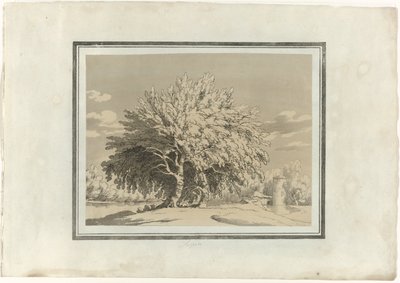 Asp av John Robert Cozens