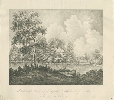 Lichfield Cathedral - West South West view (avlägsen): pennteckning av John Robert Fernyhough