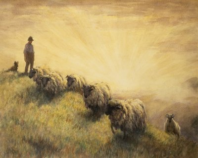 Herde som tar hem sin flock av John Robert Keitley Duff