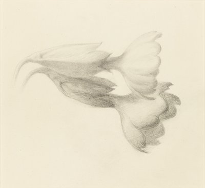 Cowslip Bells, troligen 1871. av John Ruskin