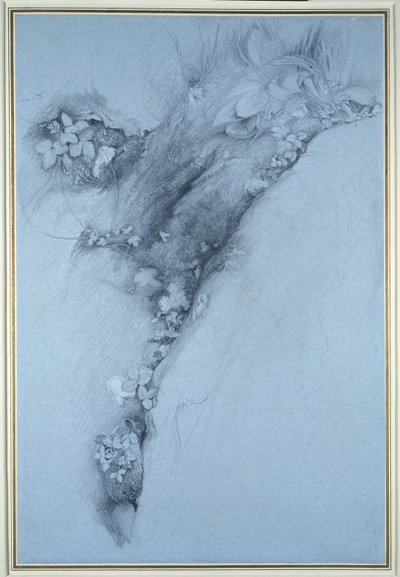 Mossa och vildsmultron av John Ruskin