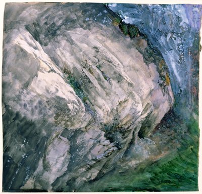 Stenar och vegetation vid Chamouni, 1854 av John Ruskin