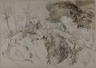 Buskar och träd i stenigt landskap av John Ruskin