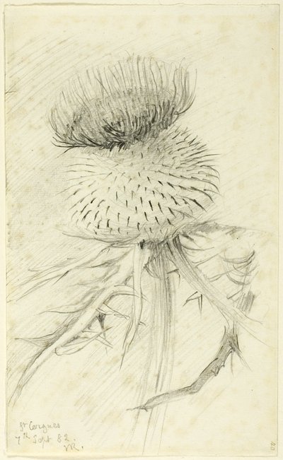 St Cergues av John Ruskin