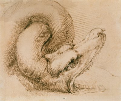 Studie av ett drakhuvud efter Michelangelo (bläck på papper) av John Ruskin