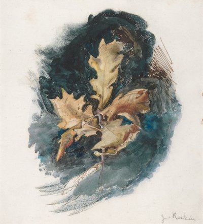  av John Ruskin