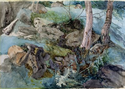 Studie av stenar och ormbunkar i en skog i Crossmount, Perthshire, 1843 (wc på papper) av John Ruskin