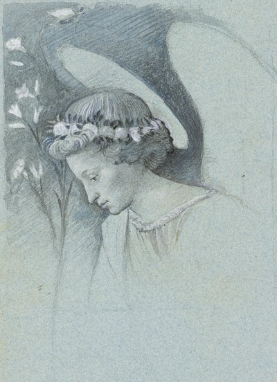 Studie av ängeln Gabriels huvud i Filippo Lippis 