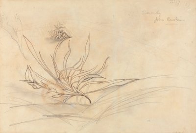 The Rocky Bank of a River av John Ruskin