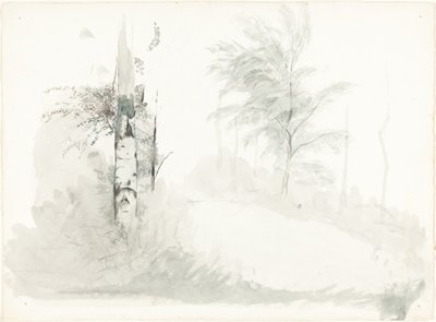 Trädstudie av John Ruskin