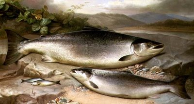 Fisk stilleben av John Russell