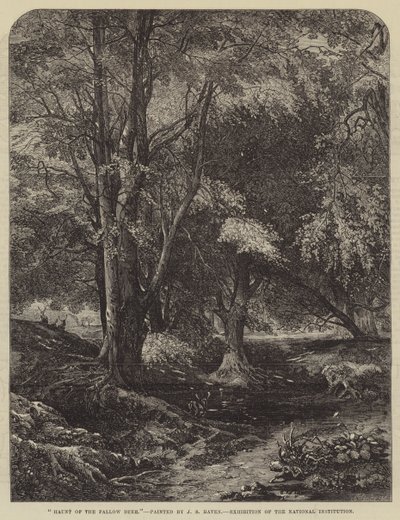 Dovhjortens tillhåll av John Samuel Raven