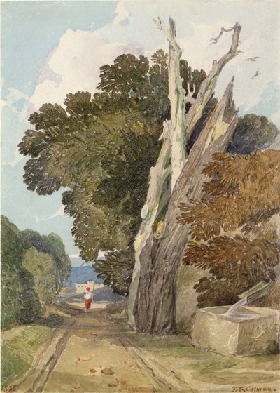 Ett spanskt kastanjträd slagits av blixten (wc & penna på papper) av John Sell Cotman