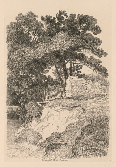 Liber Studiorum: Plate 13, Duncomb Park, Yorkshire: nr 5, 1838. av John Sell Cotman